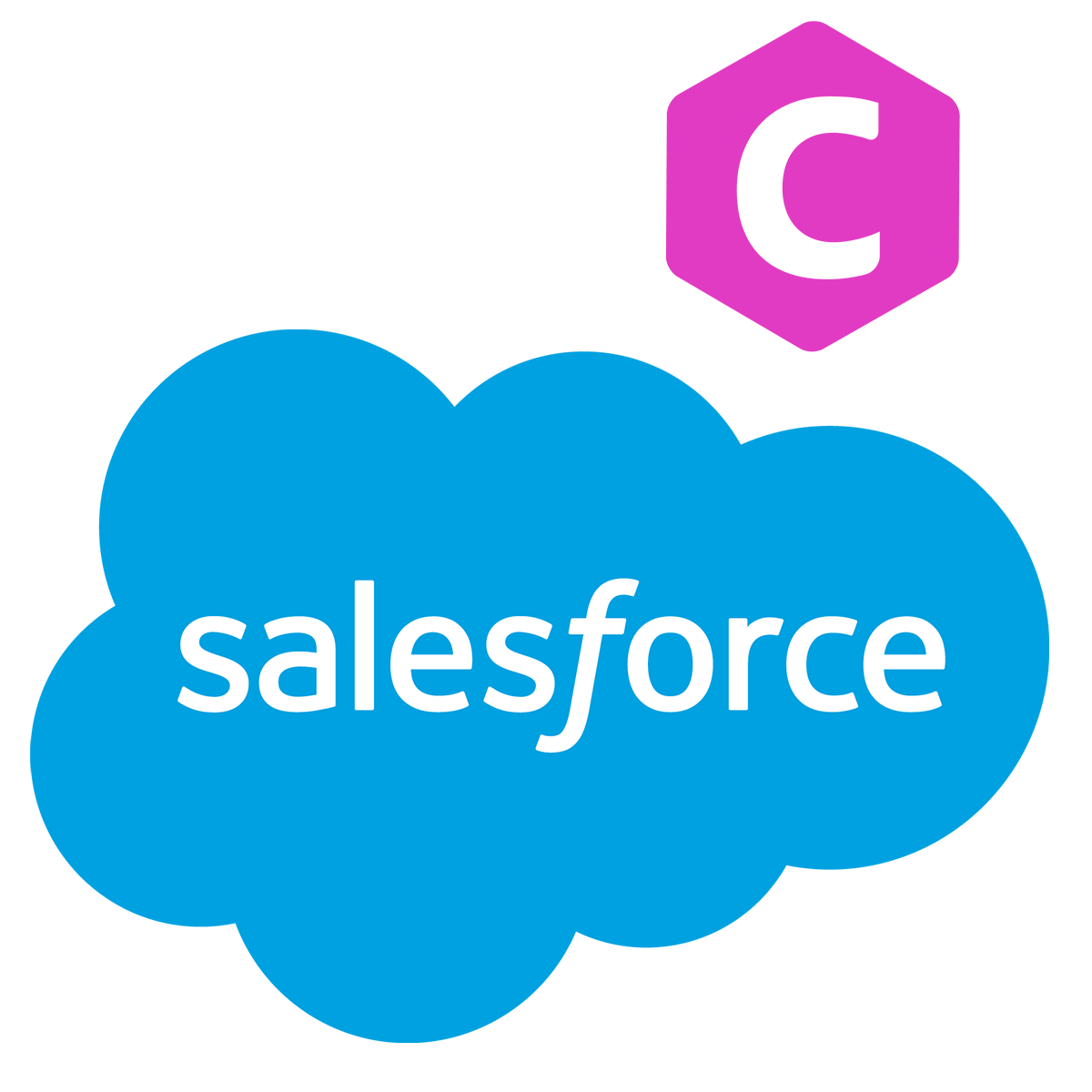 Salesforce Sync Shopify App