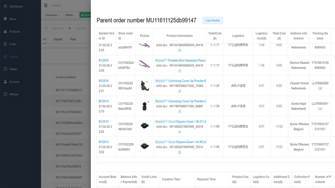 Invoice interface displays details of invoices