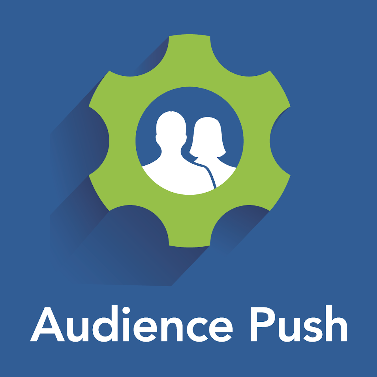 Audience Push to Facebook Shopify App