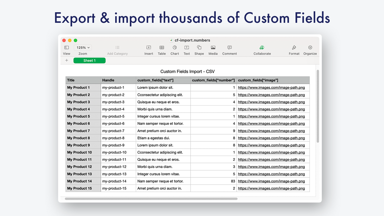 Import Custom Fields data for thousands of records