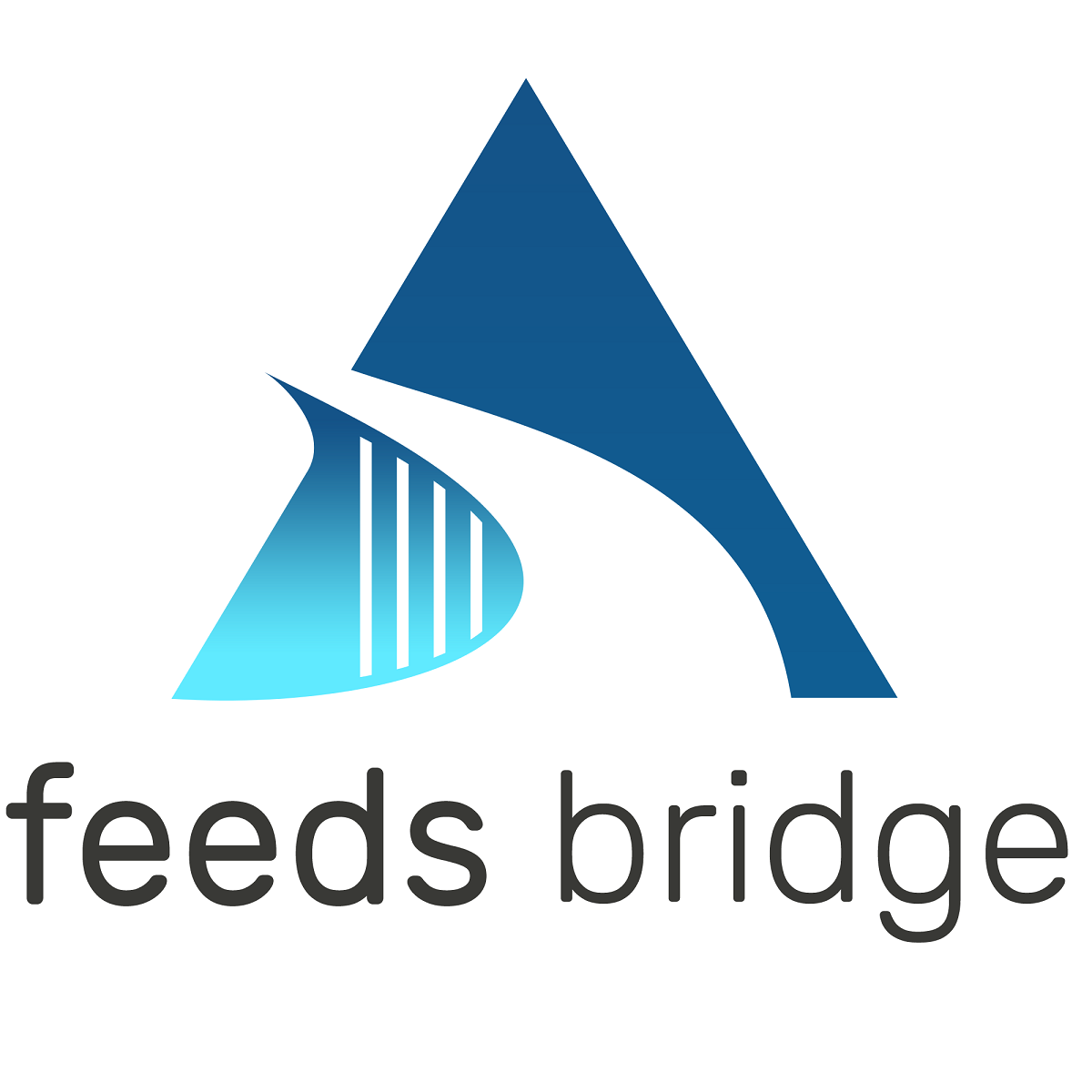 Feeds Bridge Shopify App