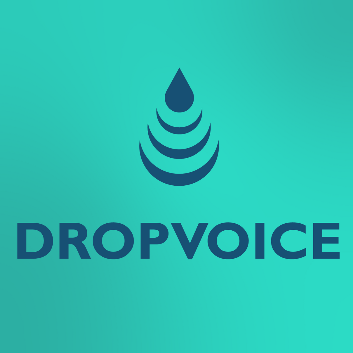 DropVoice Shopify App