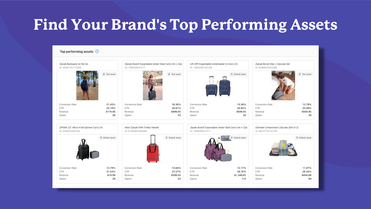 Find your brand's top performing assets