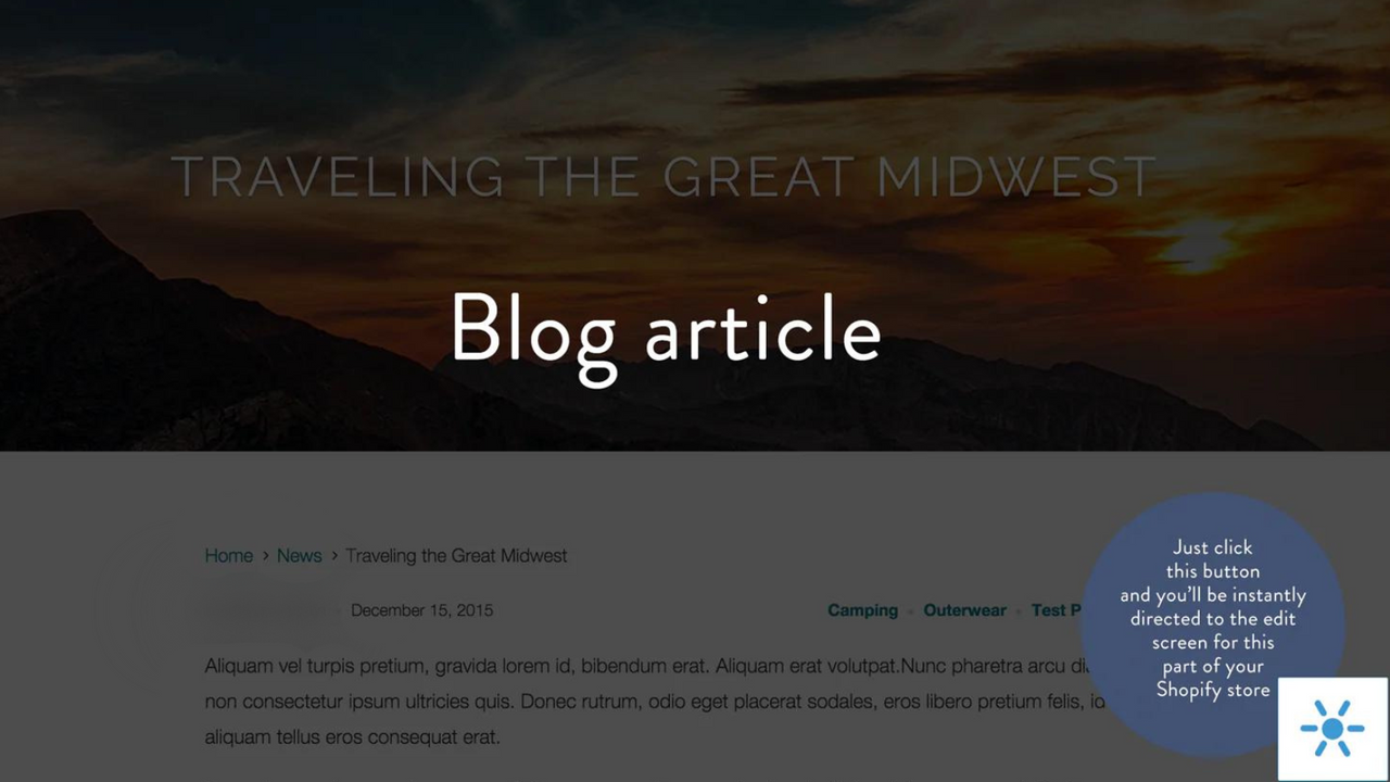 Blog article edit button