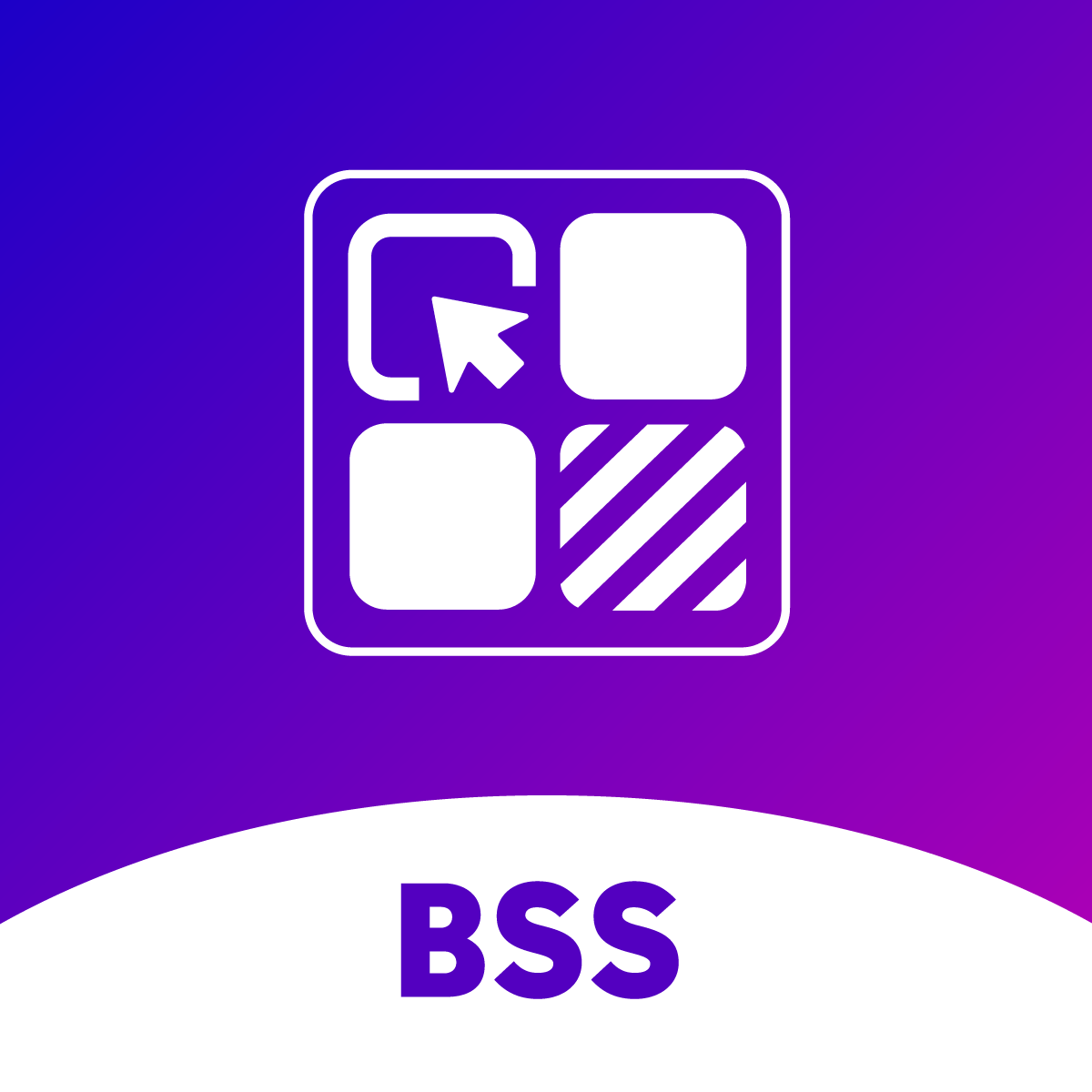 BSS: Product Variants Options Shopify App