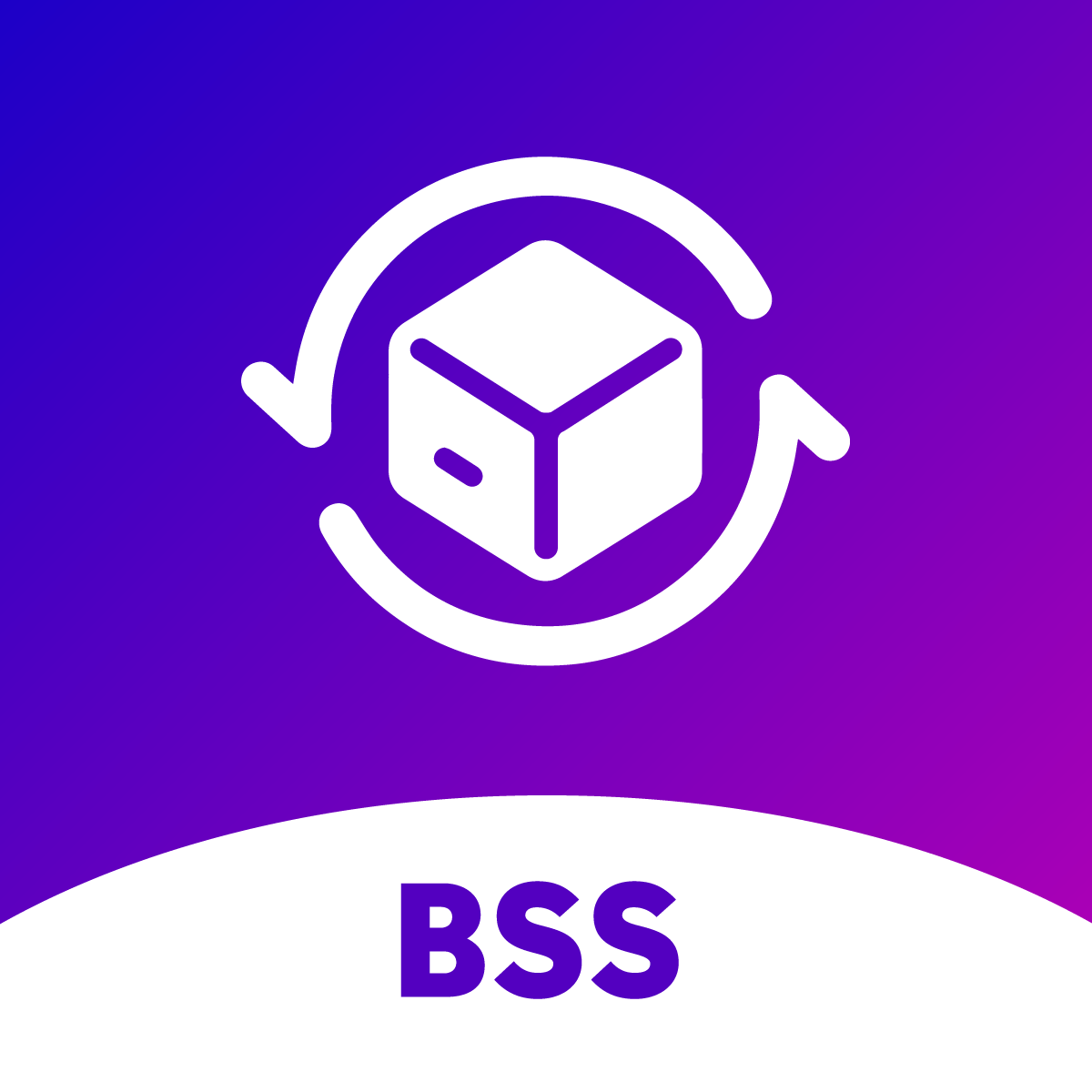 BSS: B2B Subscriptions Shopify App