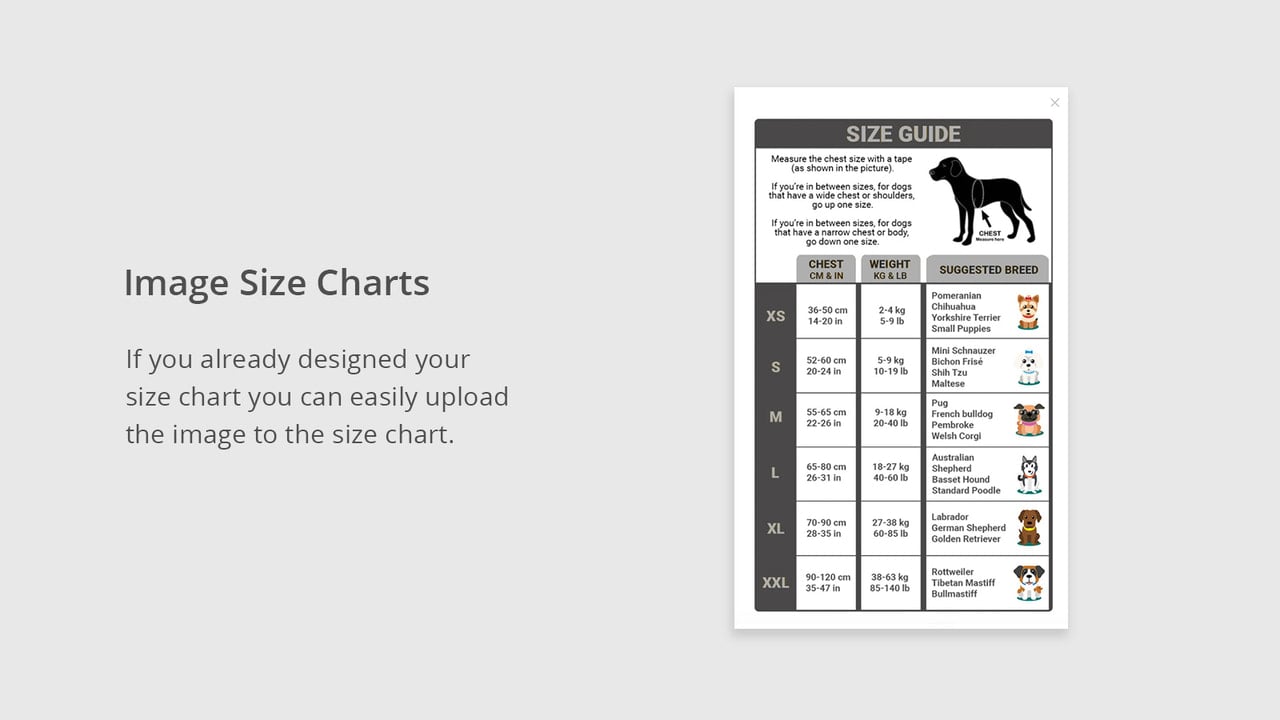 shopify Size chart app for shopify best size chart , size guide,