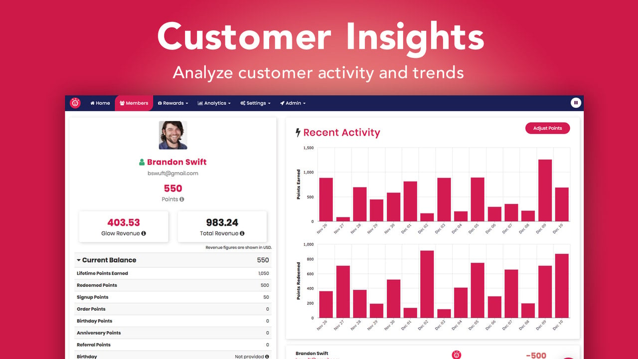 Customer Insights