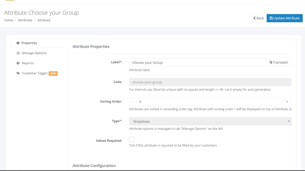 Customer attribute properties