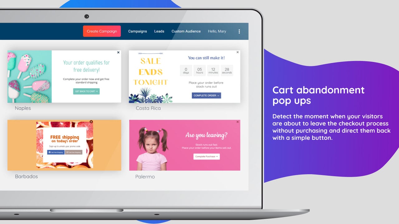 Cart abandonment pop ups.