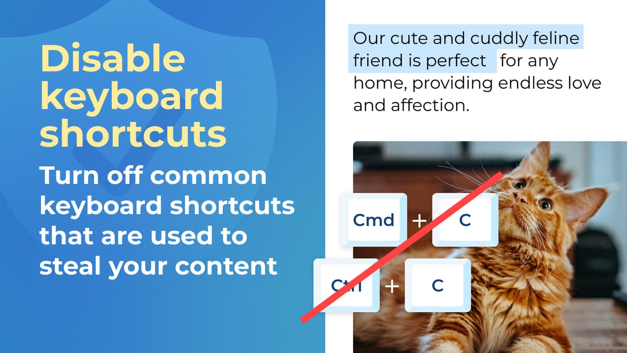 Disable keyboard shortcuts