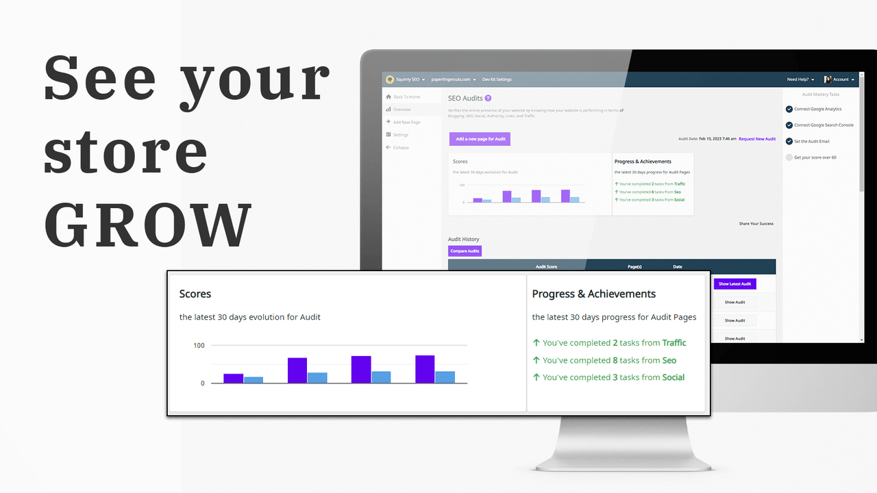 See your store grow with Plug in SEO audits and SEO stats