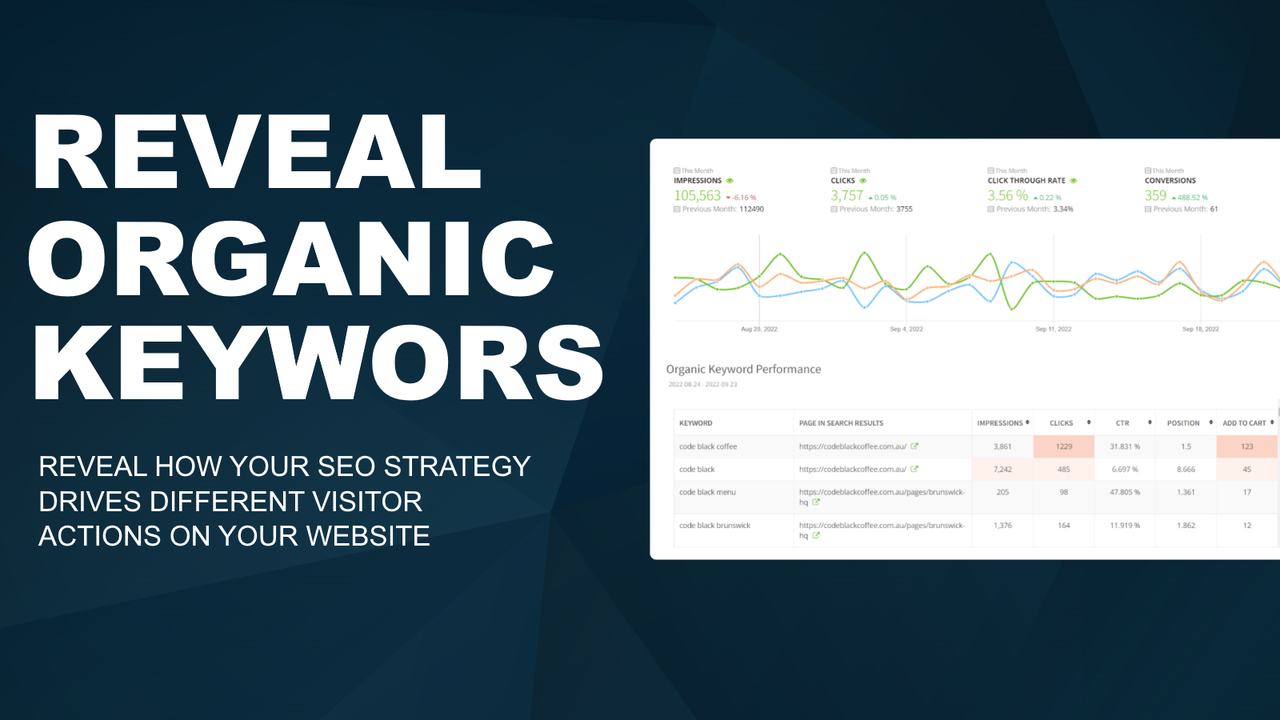 Reveal Google Organic Search Keywords - SEO on Funnelll