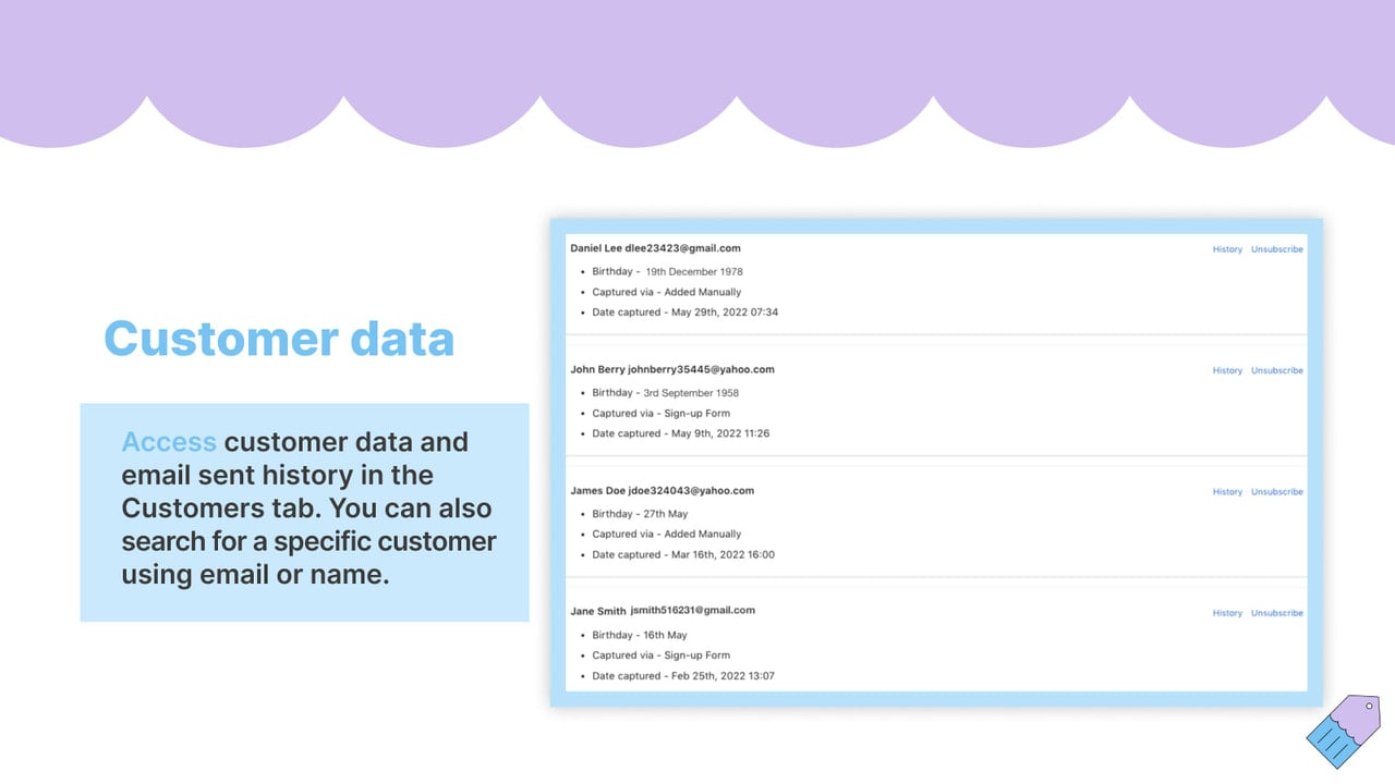 Access customer data and email sent history in the Customers tab