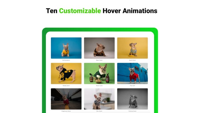 Rapid Hover | Image Animations