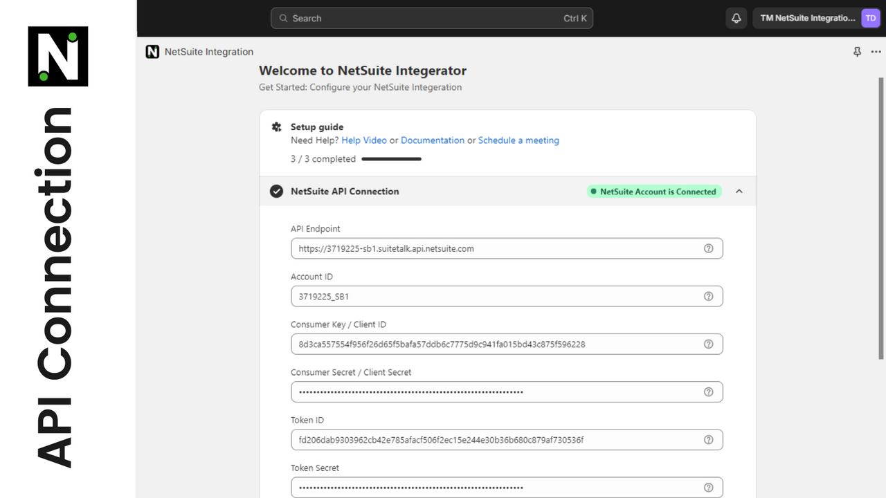 NetSuite API Connection