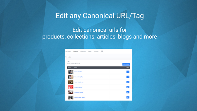 Edit canonical url for products, pages, collections, articles