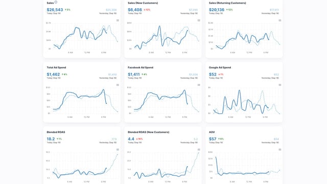 The best real-time monitor for dozens of KPIs (ROAS, Sales, etc)