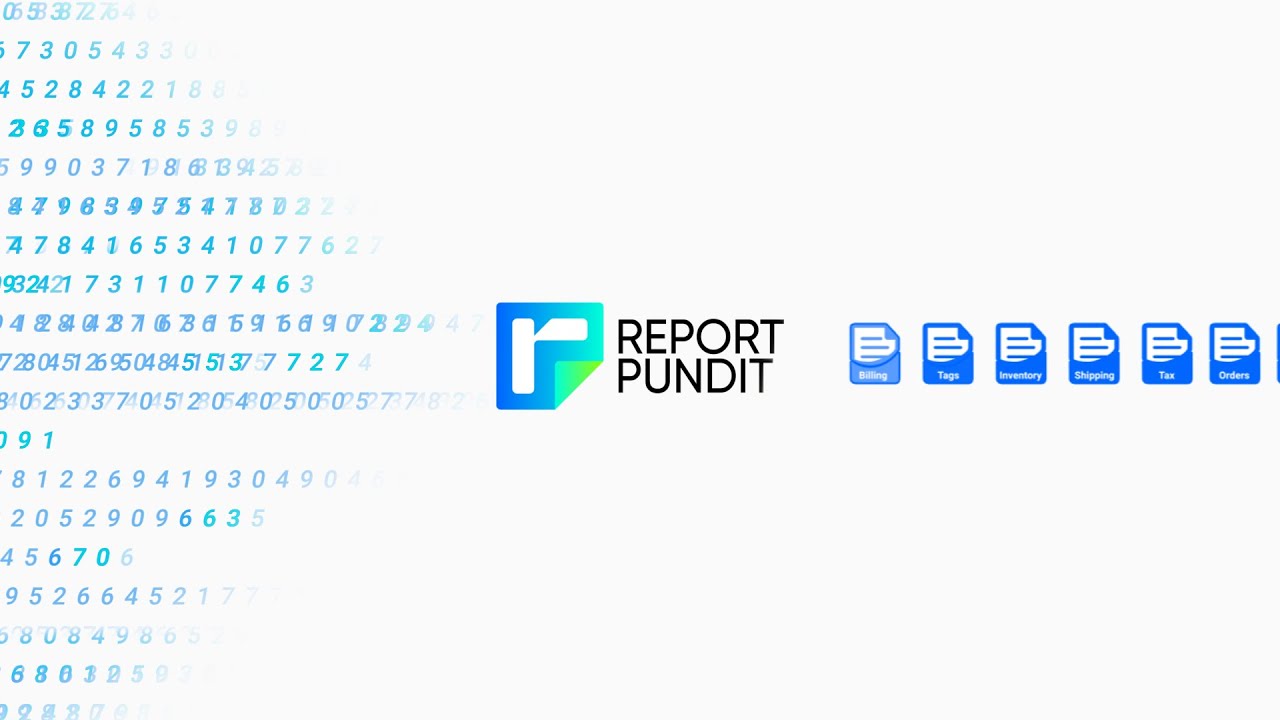 Report Pundit : Custom Reports