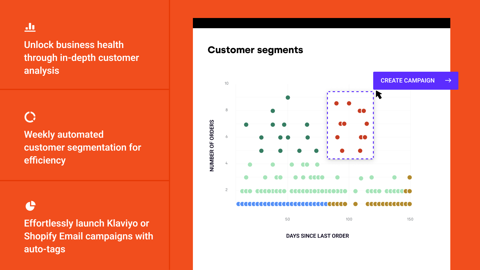 Loyal | Customer Segments