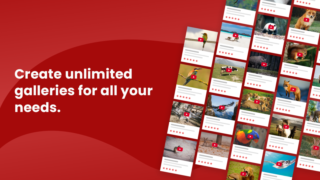 Create unlimited video galleries for all you needs