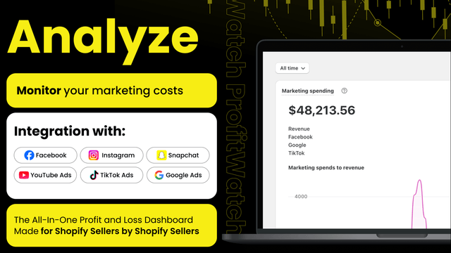 Analyze Your Facebook, Google, Youtube, Snapchat, TikTok Ads