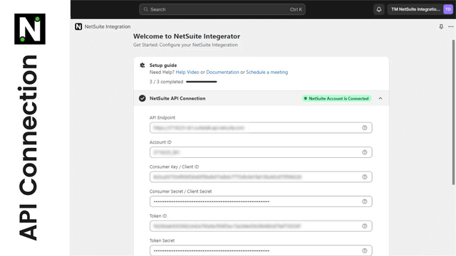 NetSuite Integration ‑ TM