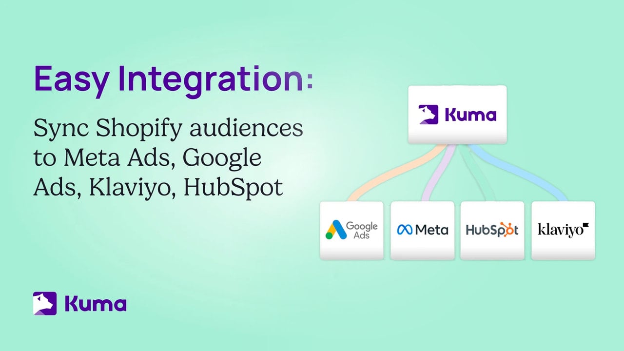 Audience Synchronization With Klaviyo, HubSpot, Google & Meta