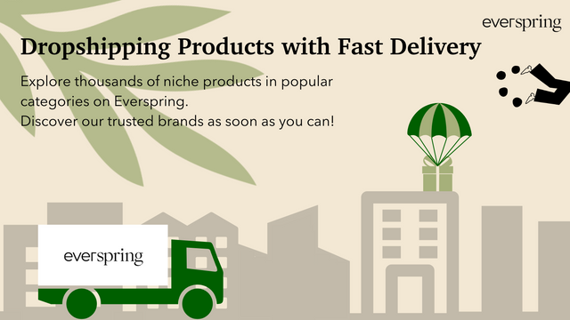 Find Everspring Dropshipping Products with Fast Delivery